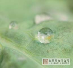 防水劑VARIPHOB AC 1104圖片